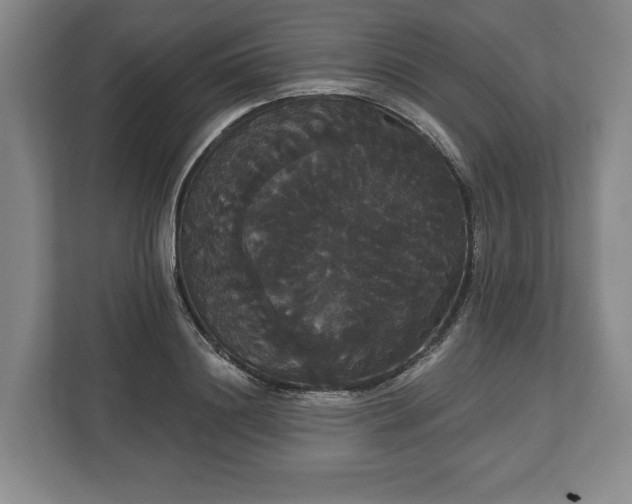 X0000113060844200909041036