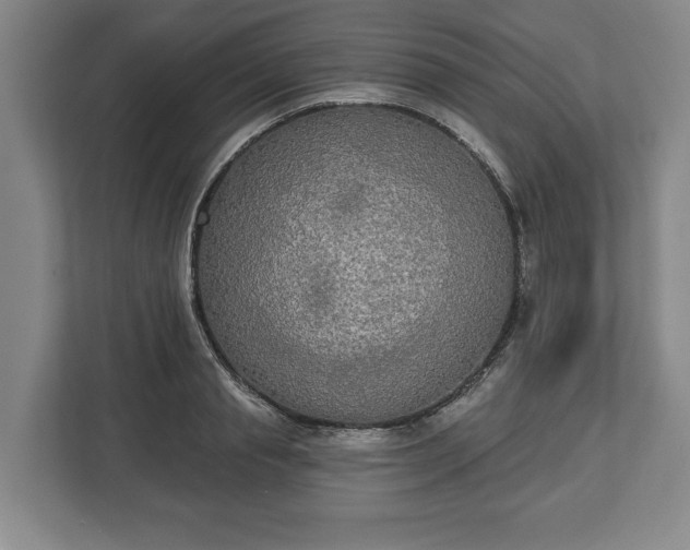 X0000113060845200909041036