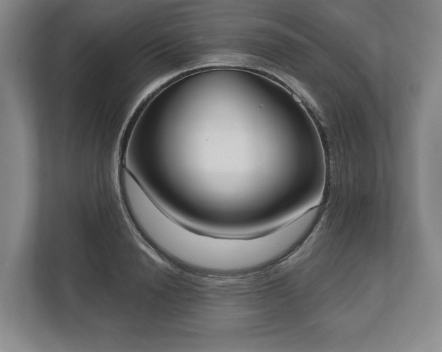 X0000113060846200909041036
