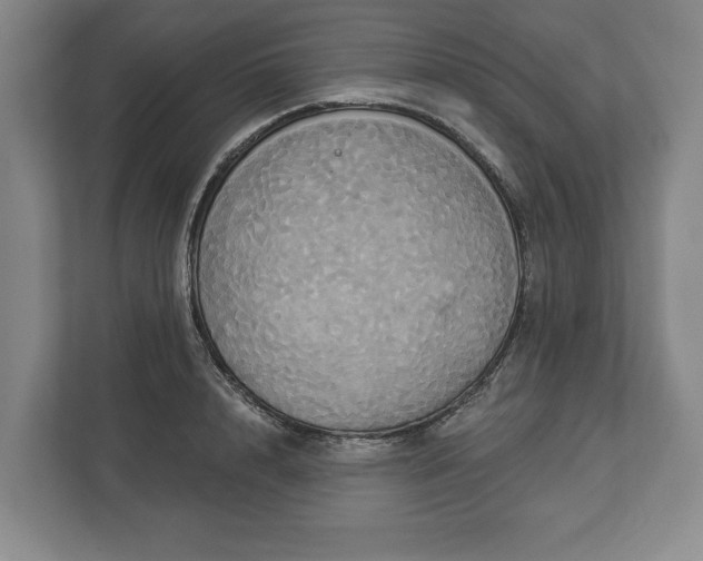 X0000113060848200909041036