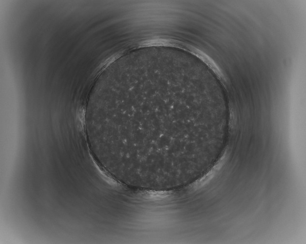 X0000113060849200909041036