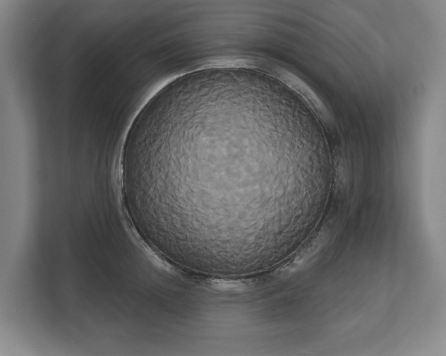 X0000113060852200909041036