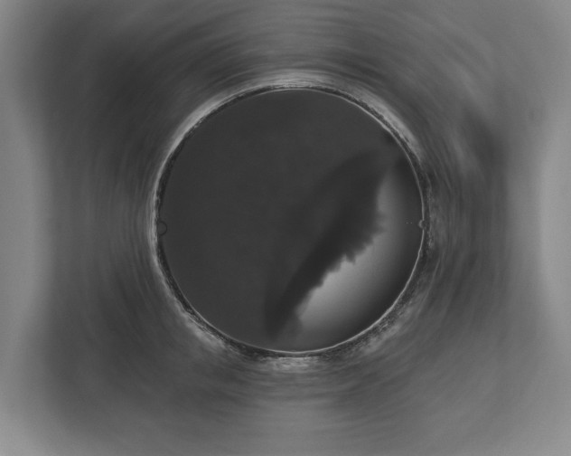X0000113060853200909041036