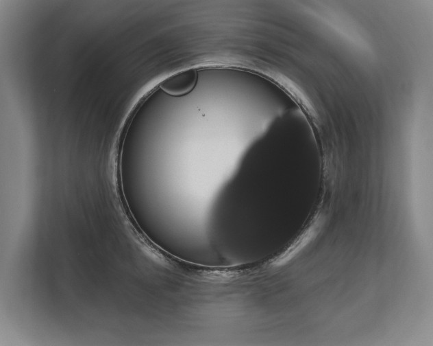 X0000113060854200909041036