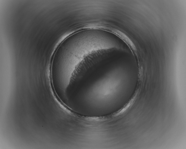 X0000113060855200909041036
