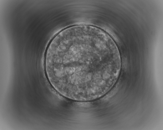 X0000113060856200909041036