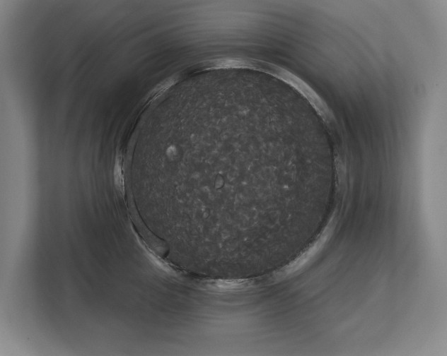 X0000113060857200909041036