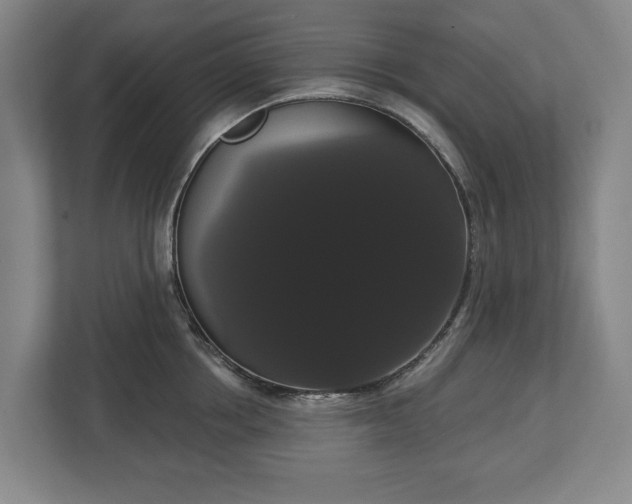 X0000113060858200909041036