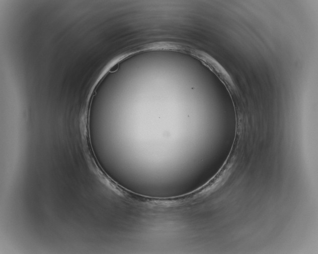 X0000113060860200909041036
