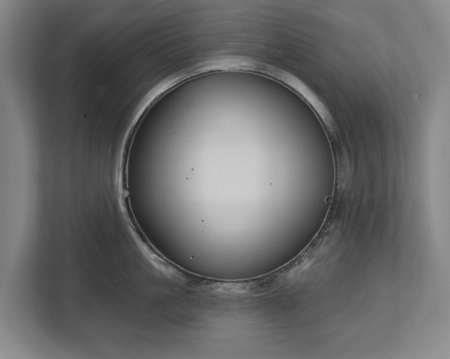 X0000113060861200909041036