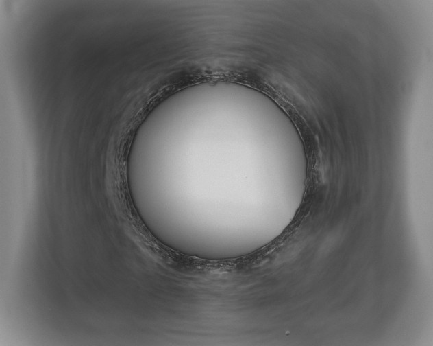 X0000113060865200909041036