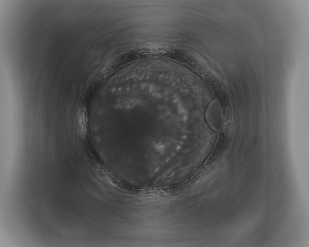 X0000113060866200909041036