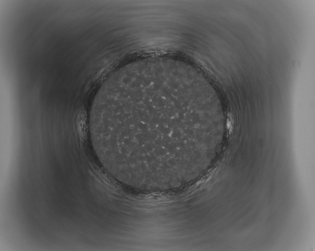 X0000113060867200909041036
