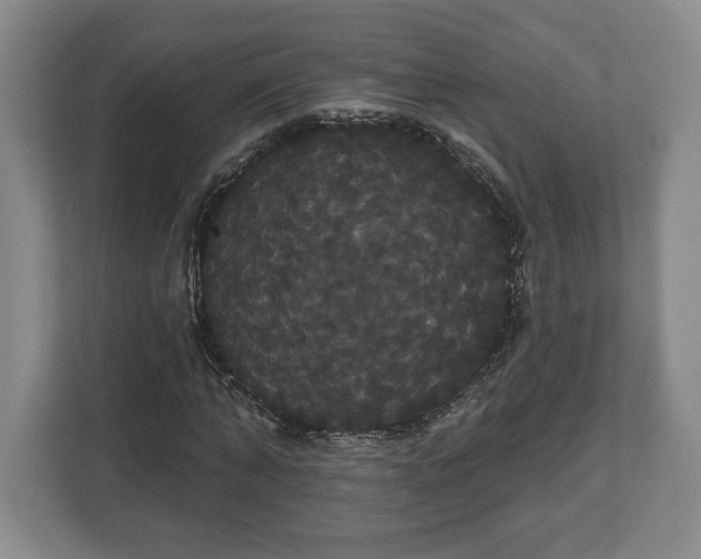 X0000113060870200909041036