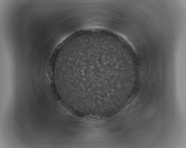 X0000113060871200909041036