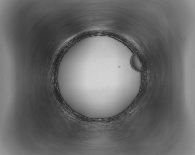 X0000113060872200909041036