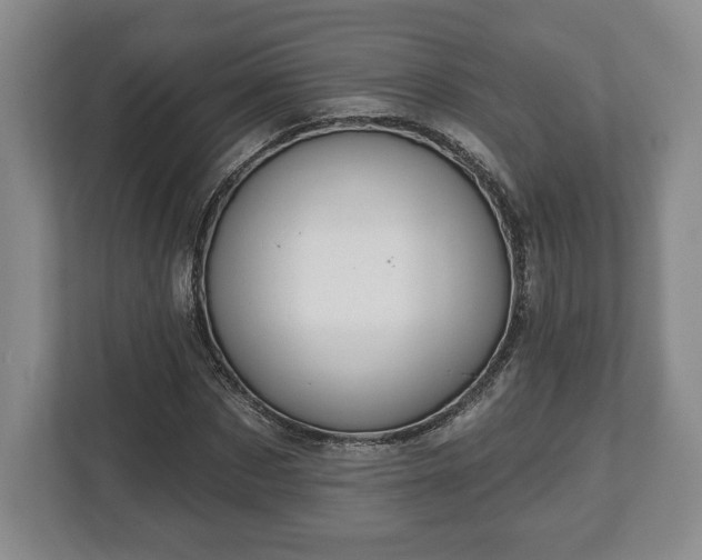 X0000113060873200909041036