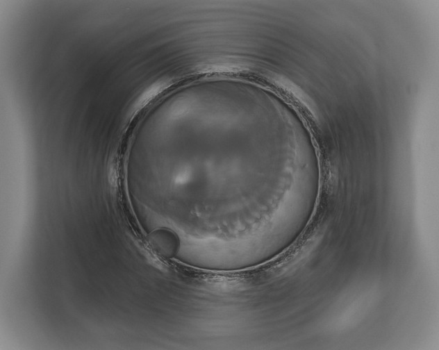 X0000113060874200909041036