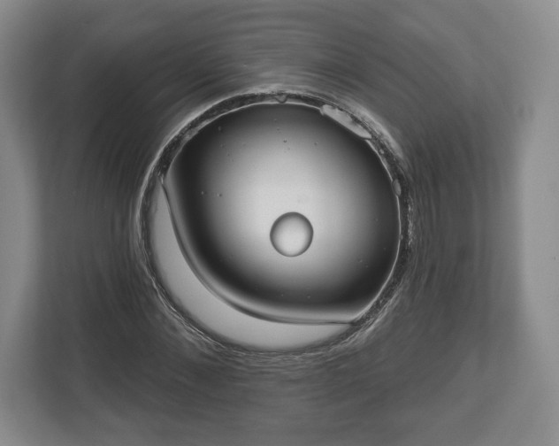 X0000113060876200909041036