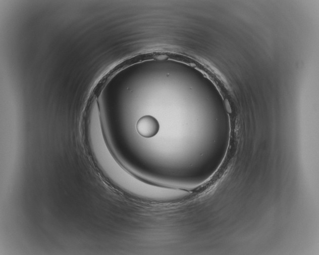 X0000113060877200909041036