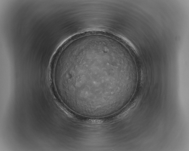 X0000113060878200909041036