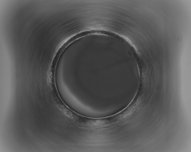 X0000113060879200909041036