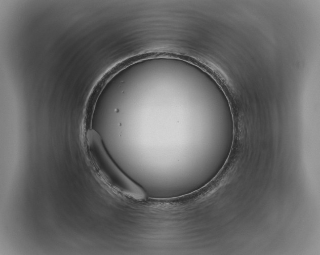 X0000113060880200909041036
