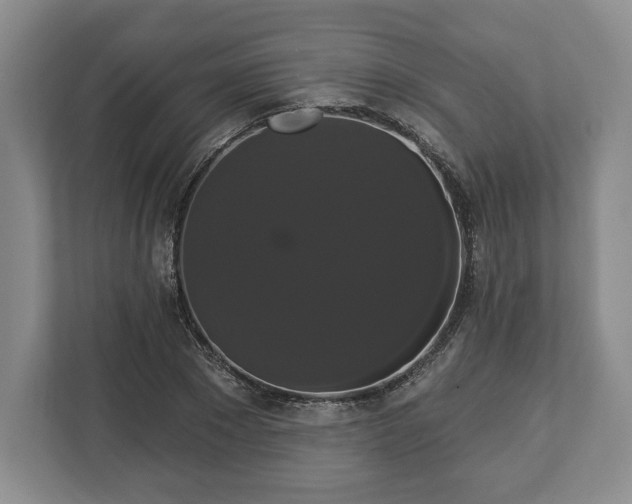 X0000113060881200909041036