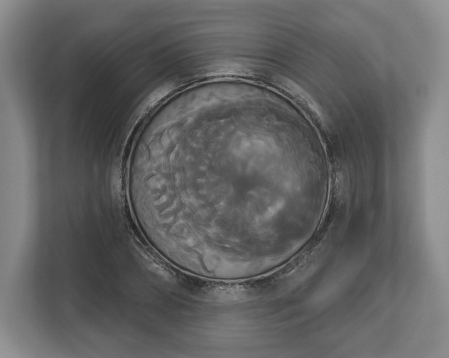 X0000113060882200909041036