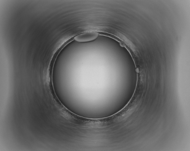 X0000113060885200909041036