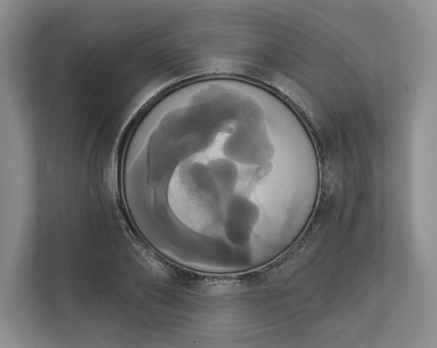 X0000113060886200909041035