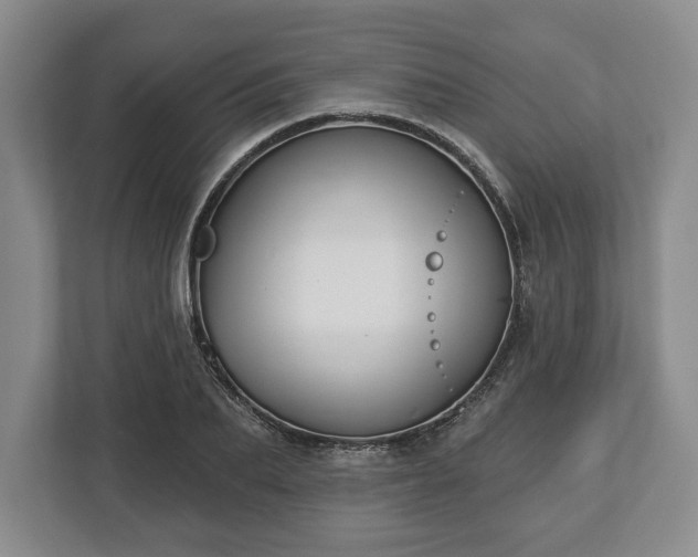 X0000113060887200909041035