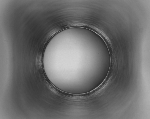 X0000113060889200909041035
