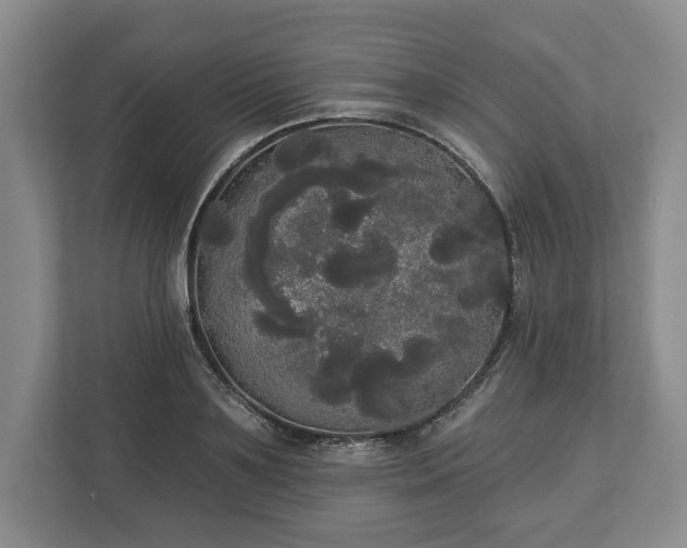 X0000113060891200909041035