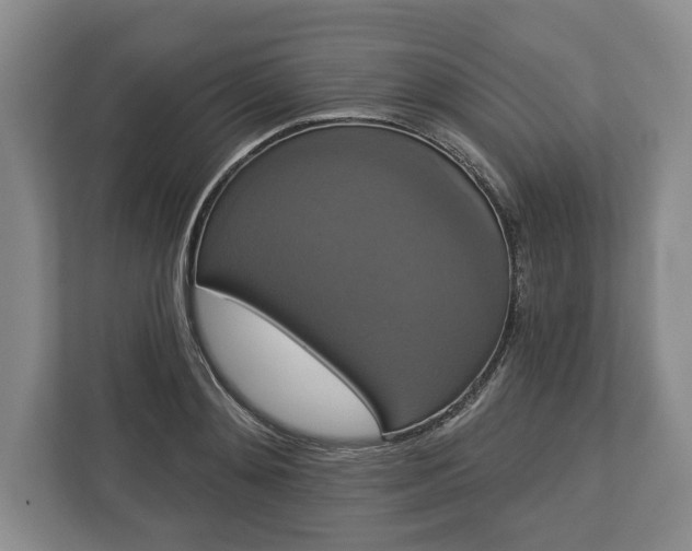 X0000113060892200909041035