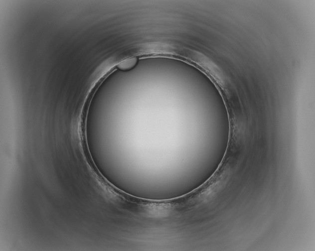 X0000113060893200909041035