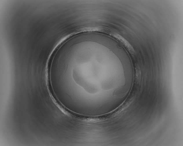 X0000113060894200909041035