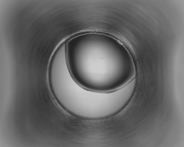 X0000113060896200909041035