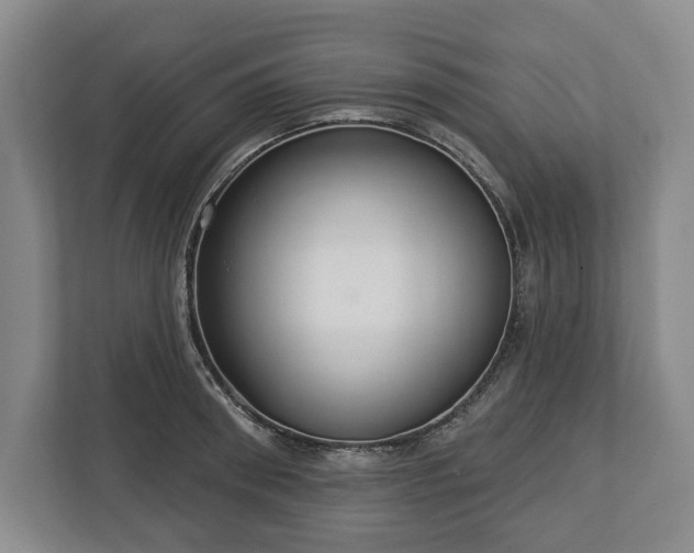 X0000113060898200909041035