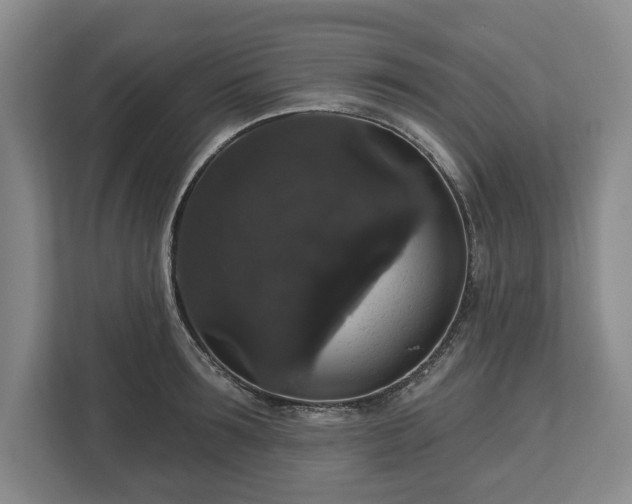X0000113060899200909041035