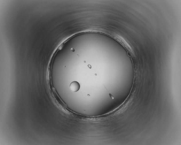 X0000113060900200909041035