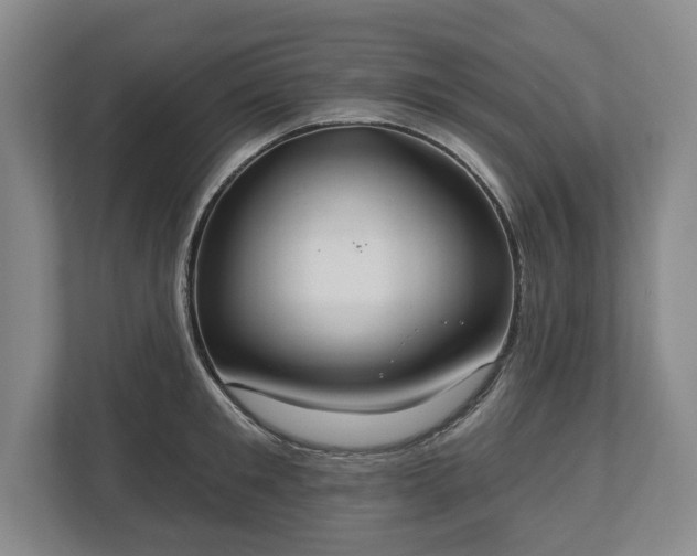 X0000113060901200909041035