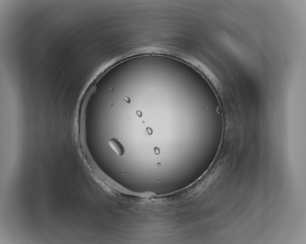 X0000113060902200909041035
