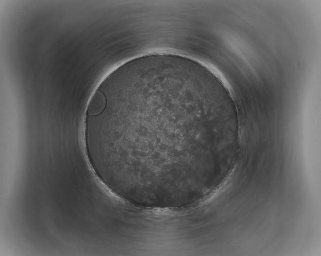 X0000113060903200909041035