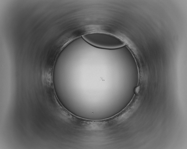 X0000113060905200909041035