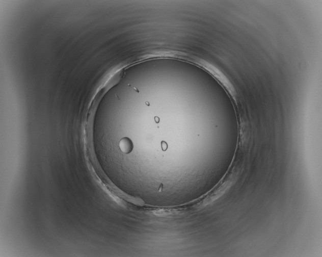 X0000113060906200909041035