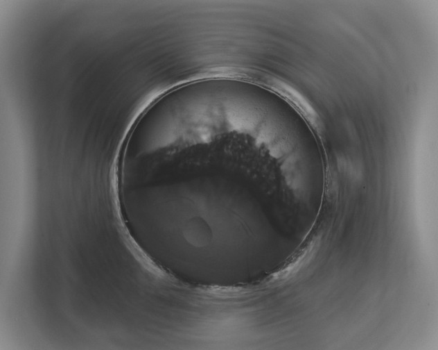 X0000113060907200909041035