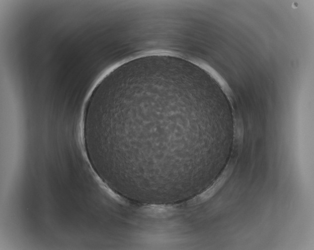 X0000113060910200909041035