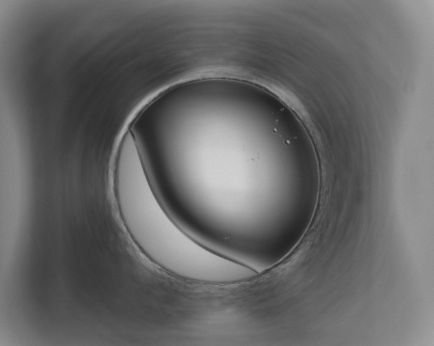 X0000113060912200909041035