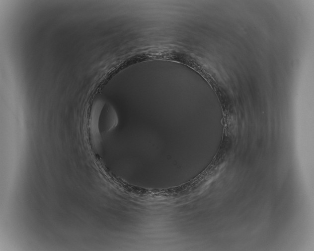 X0000113060913200909041035